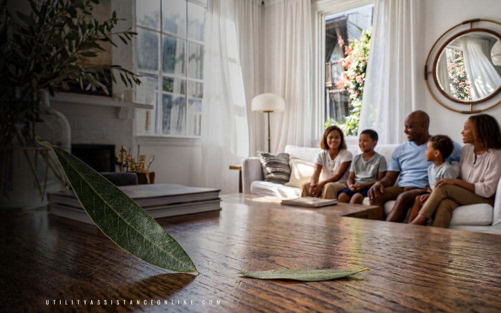 Using natural light in an older home